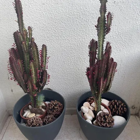 Appartamento Besthomestay- Caparica Lisbon Almada