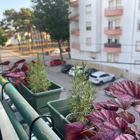 Besthomestay- Caparica Lisbon