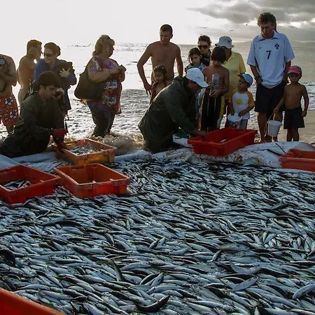 Besthomestay- Caparica Lisbon Appartamento Almada