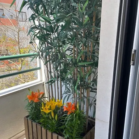 Appartement Besthomestay- Caparica Lisbon *